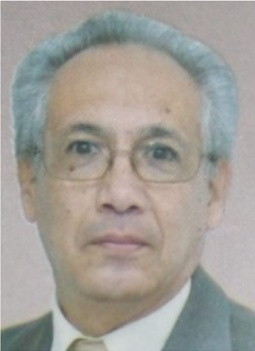 MTRO. JOSÉ LUIS DE GYVES MARÍN