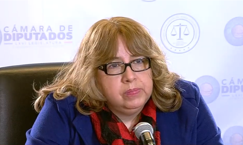 DRA. VIRGINIA BARRUETA SALVADOR